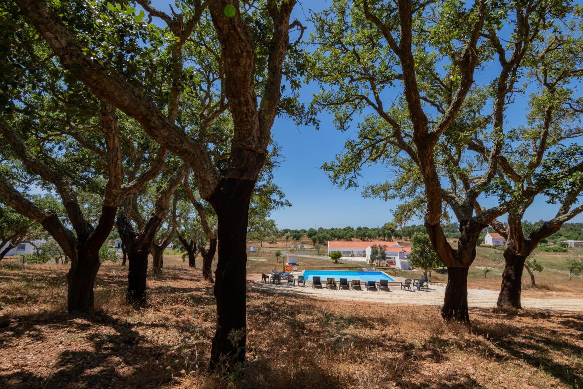Vale de Água Valle D'Agua - Casas De Campo מראה חיצוני תמונה